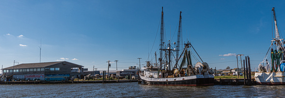 IMGP5654