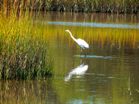 DSCN0076