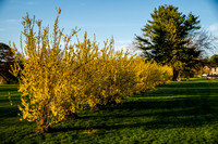 IMGP5258-31
