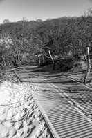 IMGP5085-39-2