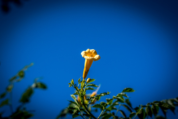 IMGP3092