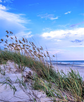 Sea Oats Over The Dunes (3)
