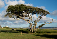 IMGP4977-2