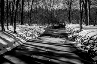 IMGP6276-2