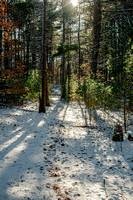 IMGP1938